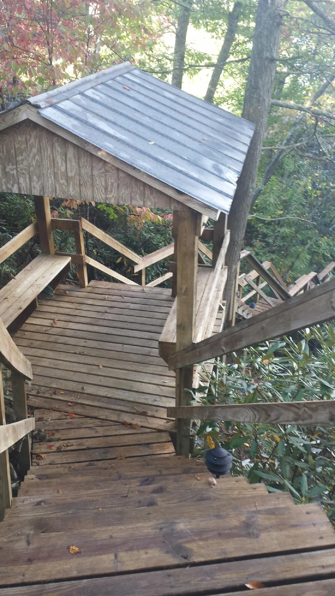 Metal roofed shelter over wooden steps on a wooded walkway — Skylight Repair & Installation work by our crew in Guyton